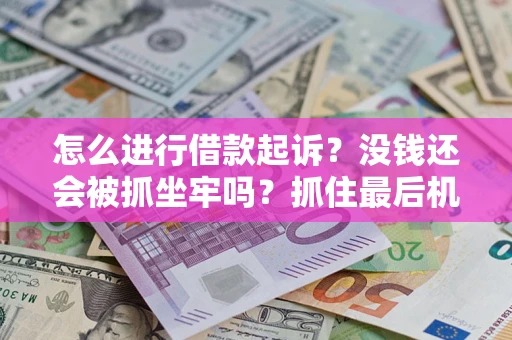 济南怎么进行借款起诉？没钱还会被抓坐牢吗？抓住最后机会！