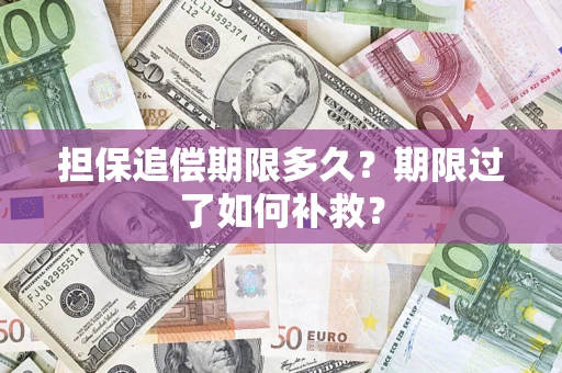济南担保追偿期限多久？期限过了如何补救？